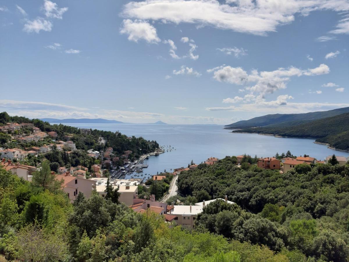 Apartman Iva *